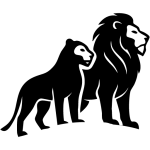Difficulty understanding medical information or next steps