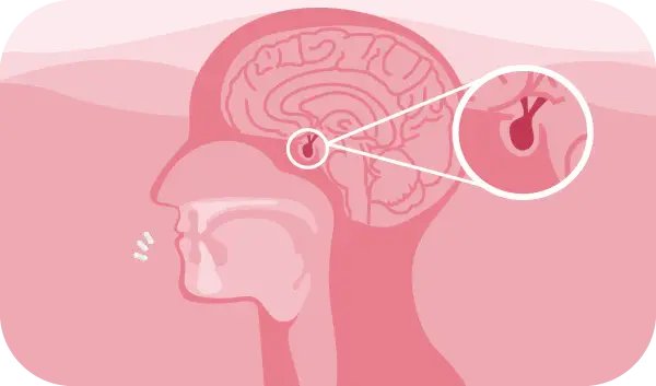 Stress Relief & Ashwagandha