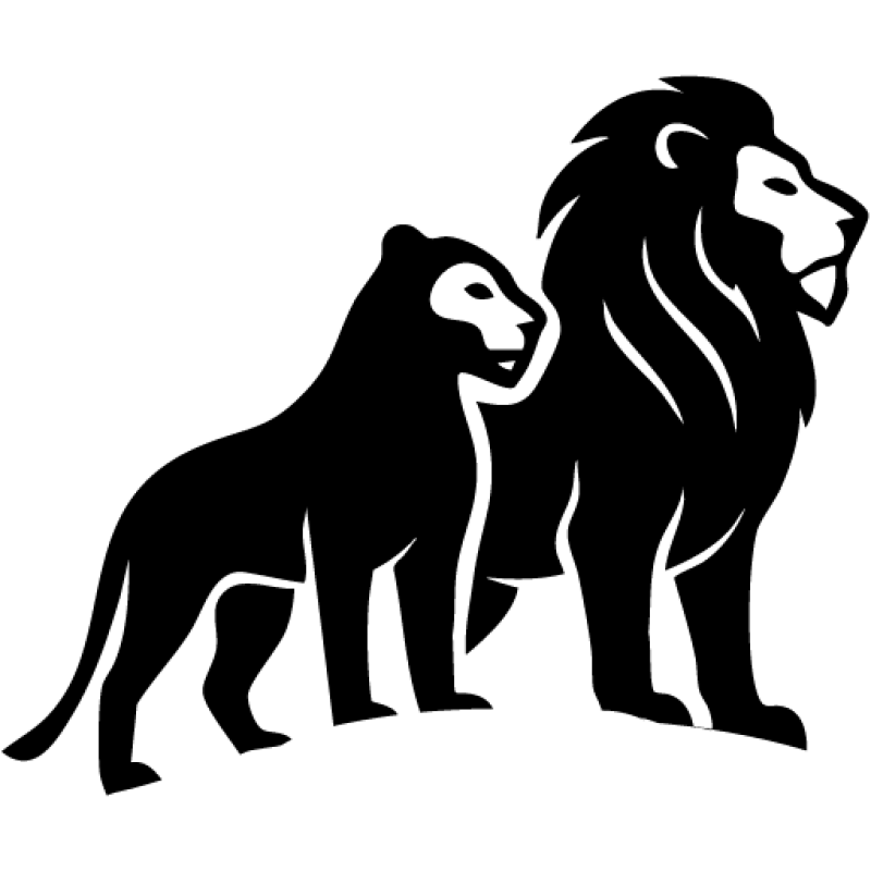 Men’s Confidence Support