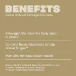 Swisse Ultiboost Ashwagandha Calm+