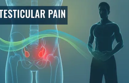 What is Testicular Pain ?