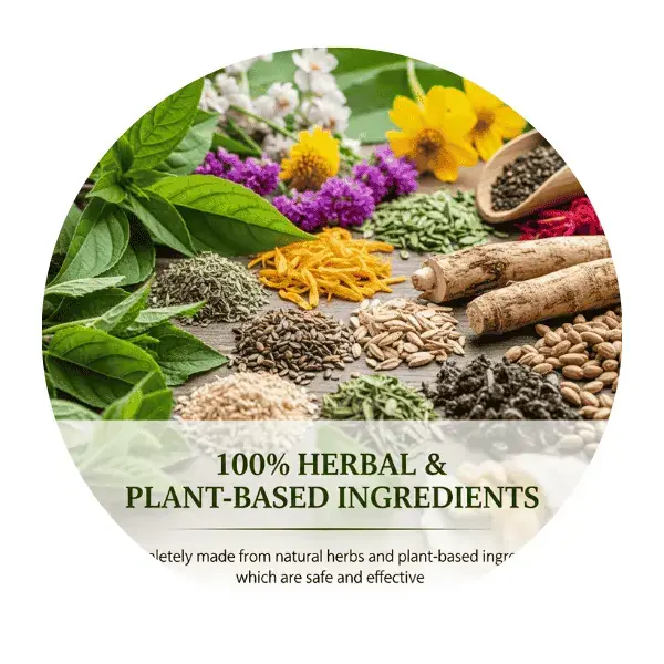 Plant-Based Ingredients