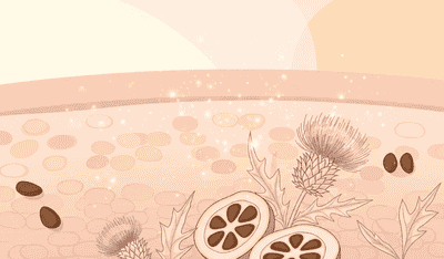 deep-absorbing-technology