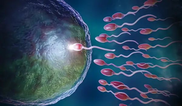 Antioxidant fertility support Bangladesh