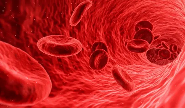 Improve blood flow Bangladesh