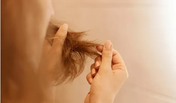 Reduced Breakage Support Bangladesh