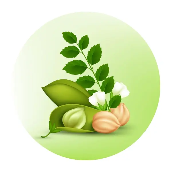 Natural supplement BD