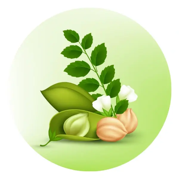 Natural Herbal Formula