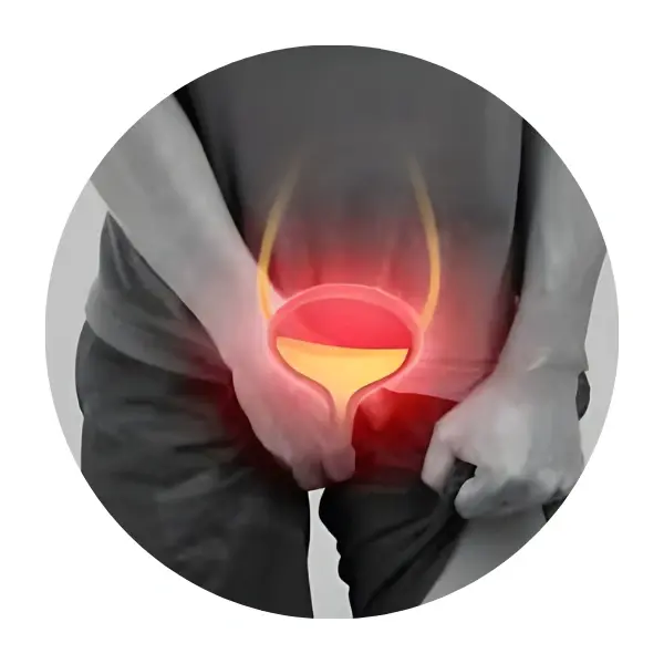 Daily use prostate support BD