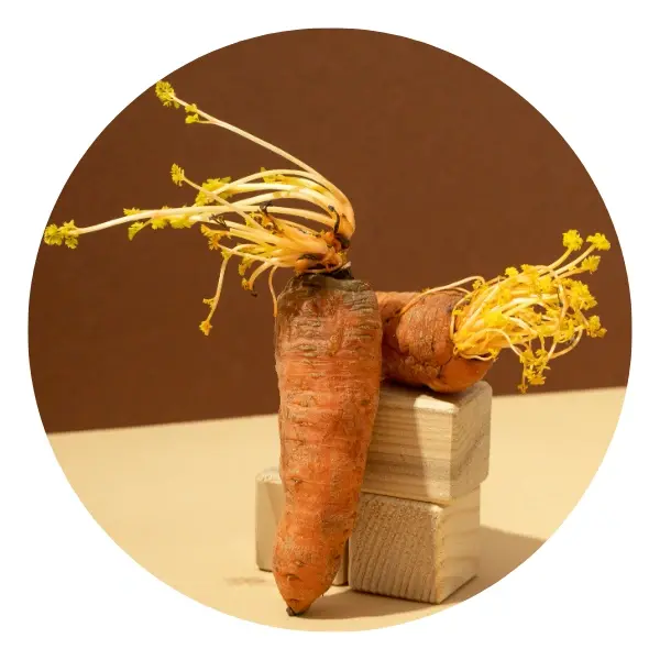 Natural supplement Bangladesh