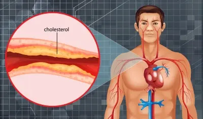 Horny Goat Weed improves blood flow