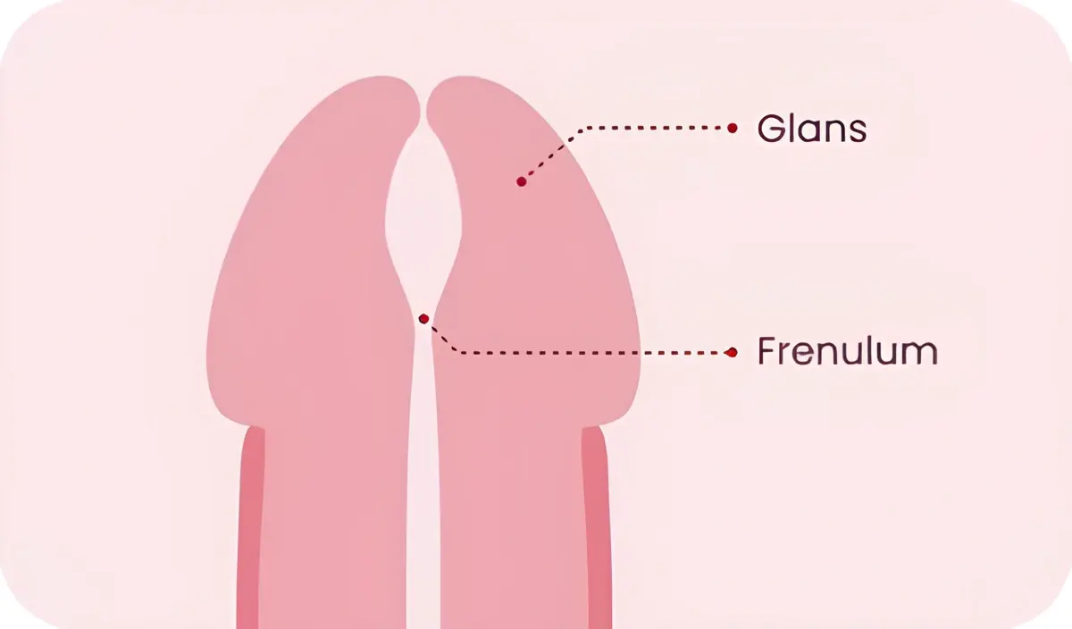 Testosterone for Memory