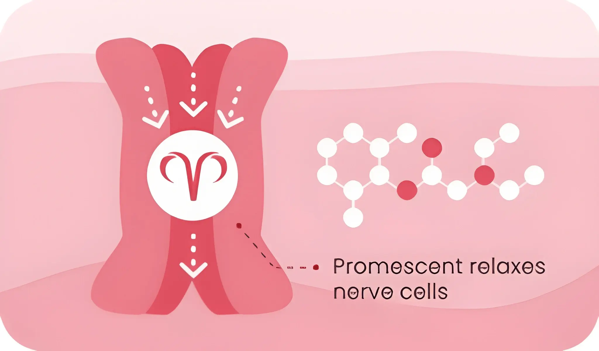 penis desensitizers relax nerves