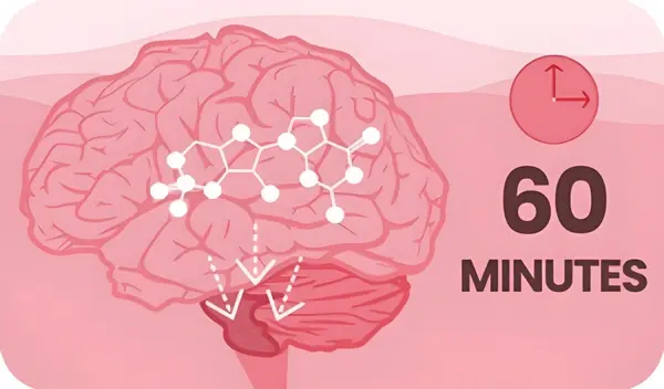 Wait Up To 1 Hour - Clock icon