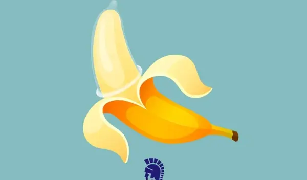 High-Quality Latex - Shield icon