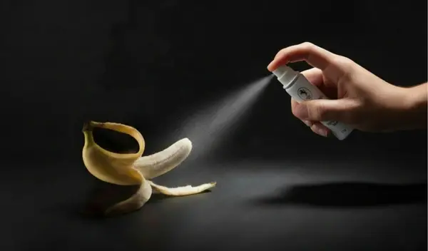 Quick & Easy to Use - Timer icon